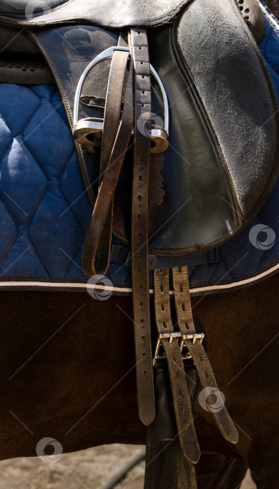Скачать Оседланная лошадь стоит в конюшне. фотосток Ozero