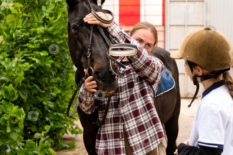 Скачать Женщина поправляет уздечку лошади в конюшне. фотосток Ozero