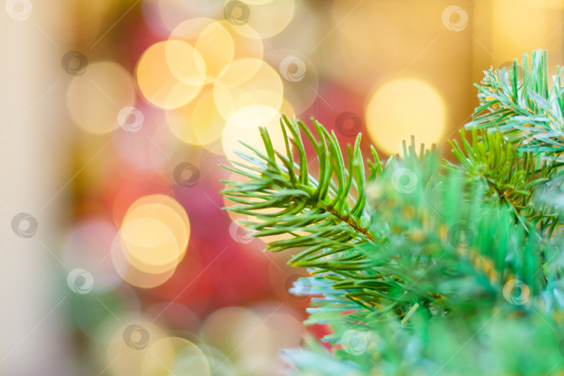 Скачать Крупный план ветвей рождественской елки на фоне размытых огней фотосток Ozero