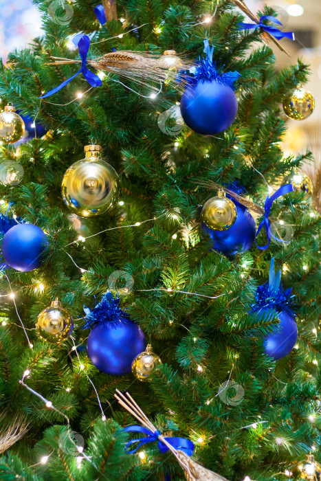 Скачать Вид рождественской елки, украшенной голубыми шарами фотосток Ozero