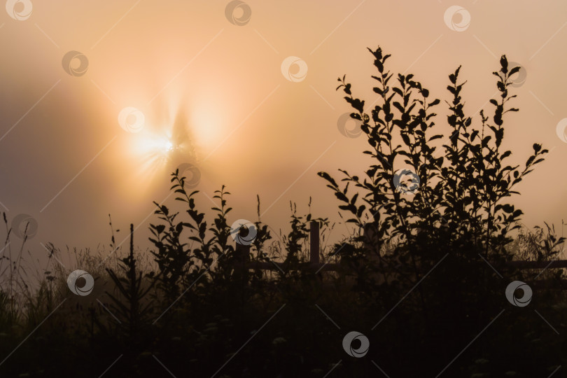 Скачать Восход солнца фотосток Ozero