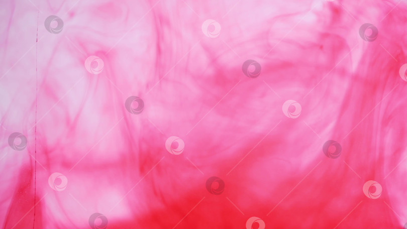 Скачать яркий пурпурный дым на белом фоне фотосток Ozero