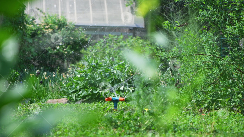 Скачать Ландшафтная автоматическая система полива сада с различными вращающимися разбрызгивателями фотосток Ozero