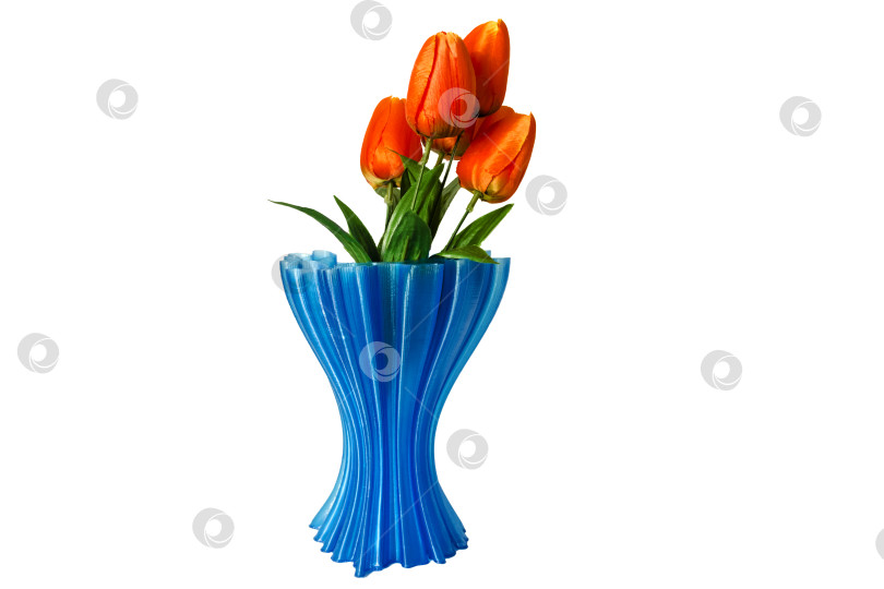 Скачать Букет оранжевых тюльпанов в голубой вазе на белом фоне. фотосток Ozero