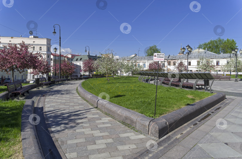 Скачать Цветущие яблони на Хитровской площади. Москва. фотосток Ozero