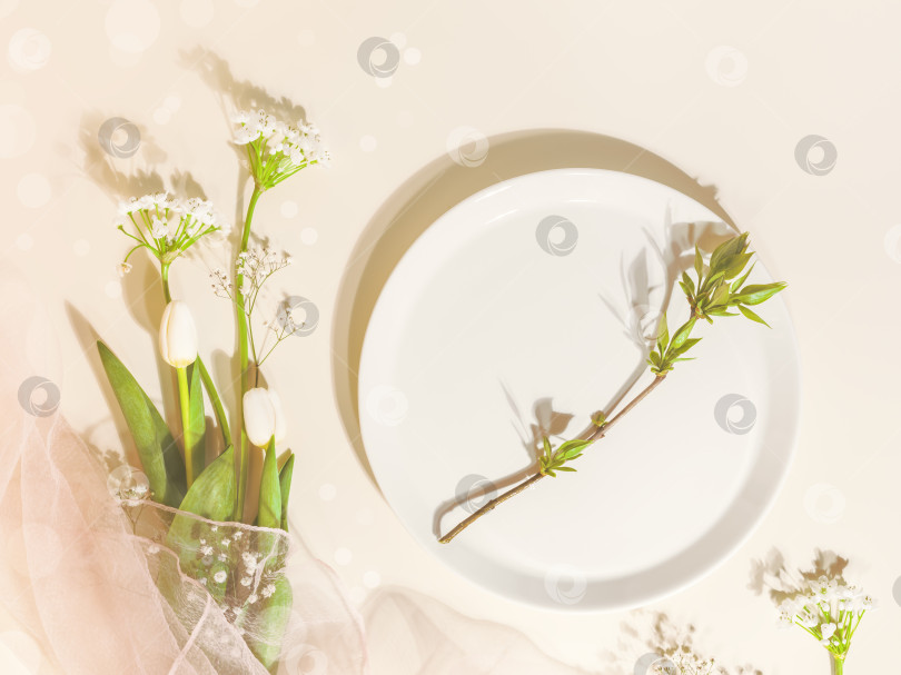Скачать Белые тюльпаны, гипсофила и зеленая веточка на белой тарелке фотосток Ozero