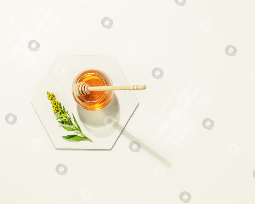 Скачать Жидкий мед в стеклянной банке, луговой цветок и ковшик для меда на белом столе с местом для текста. фотосток Ozero