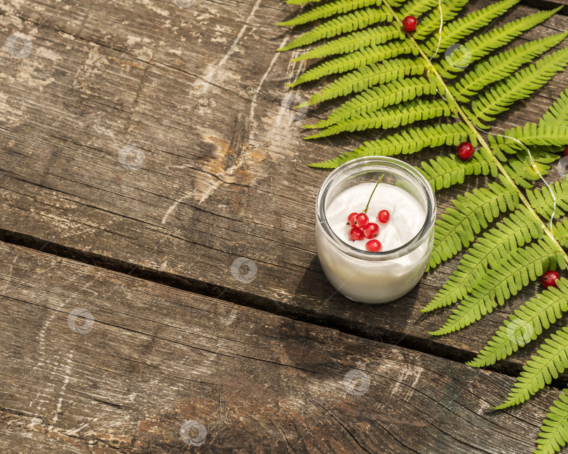 Скачать Подайте на деревянном столе веганский домашний йогурт с красной смородиной и папоротником фотосток Ozero