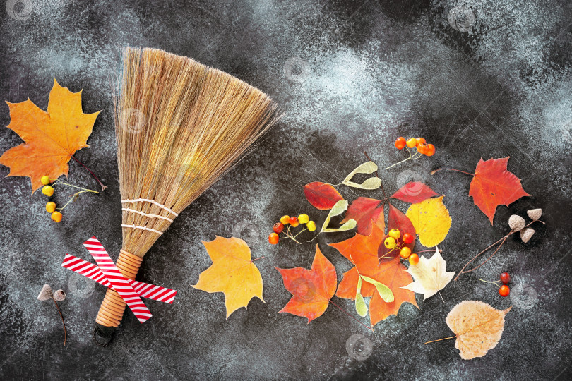 Скачать Осенняя композиция с веником, приклеенным скотчем, разноцветными осенними листьями, боярышником и желудями фотосток Ozero