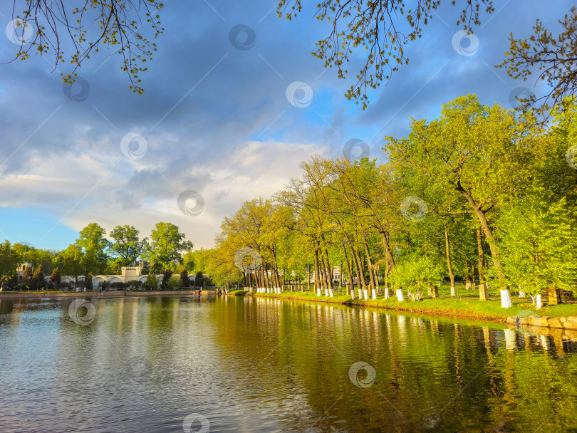 Скачать Отражение деревьев на поверхности пруда, весенний парк, озеро, облачное небо. фотосток Ozero