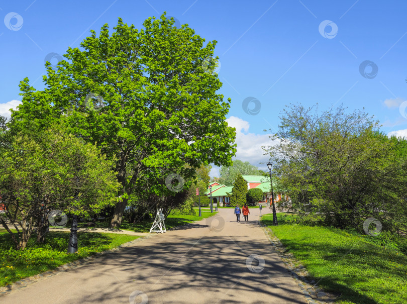 Скачать Летний парковый пейзаж парка Царицыно в Москве, Россия. фотосток Ozero