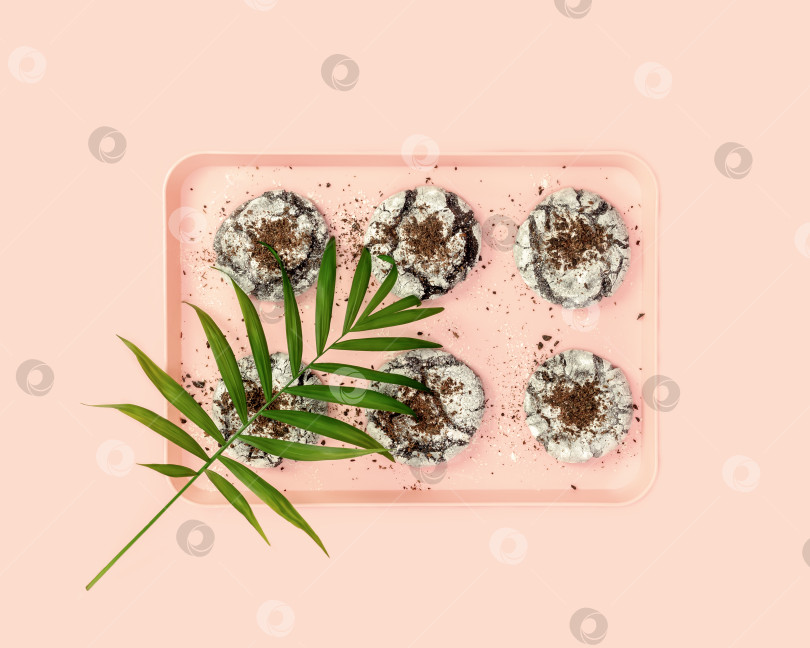 Скачать Домашнее печенье брауни на розовом подносе с пальмовыми листьями фотосток Ozero