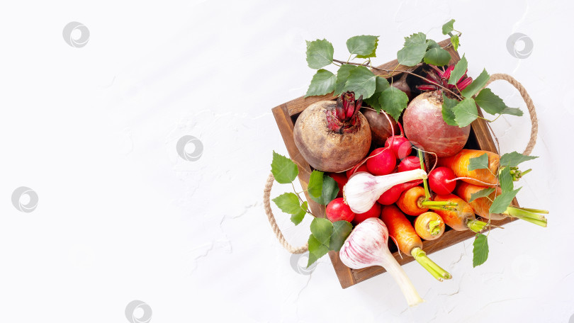 Скачать Открытка с деревянной коробкой, полной свежих органических овощей с местного рынка фотосток Ozero
