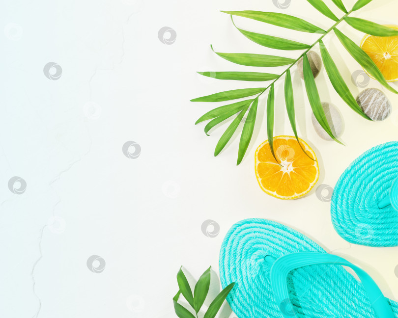 Скачать Композиция "Летние каникулы" с флип-флопом, пальмовыми листьями и цитрусовыми фруктами фотосток Ozero