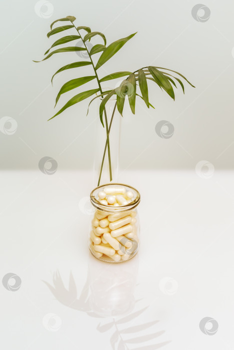 Скачать Белые капсулы в стеклянном флаконе и пальмовые листья на белом столе фотосток Ozero
