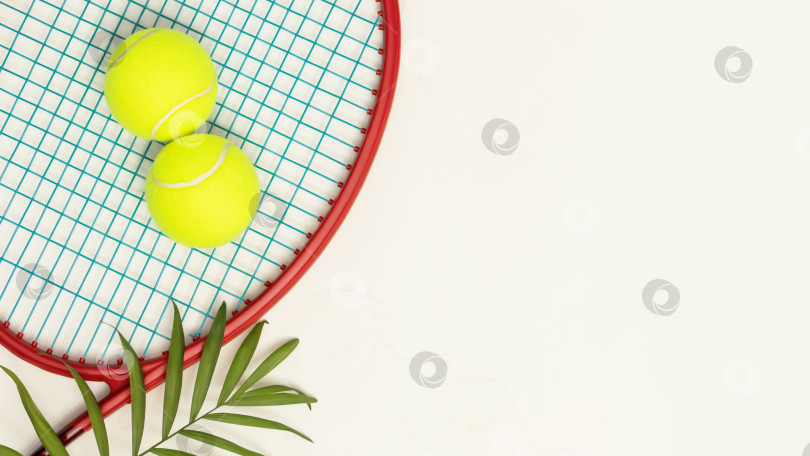 Скачать Желтые теннисные мячи на ракетке с пальмовым листом на белом фоне фотосток Ozero