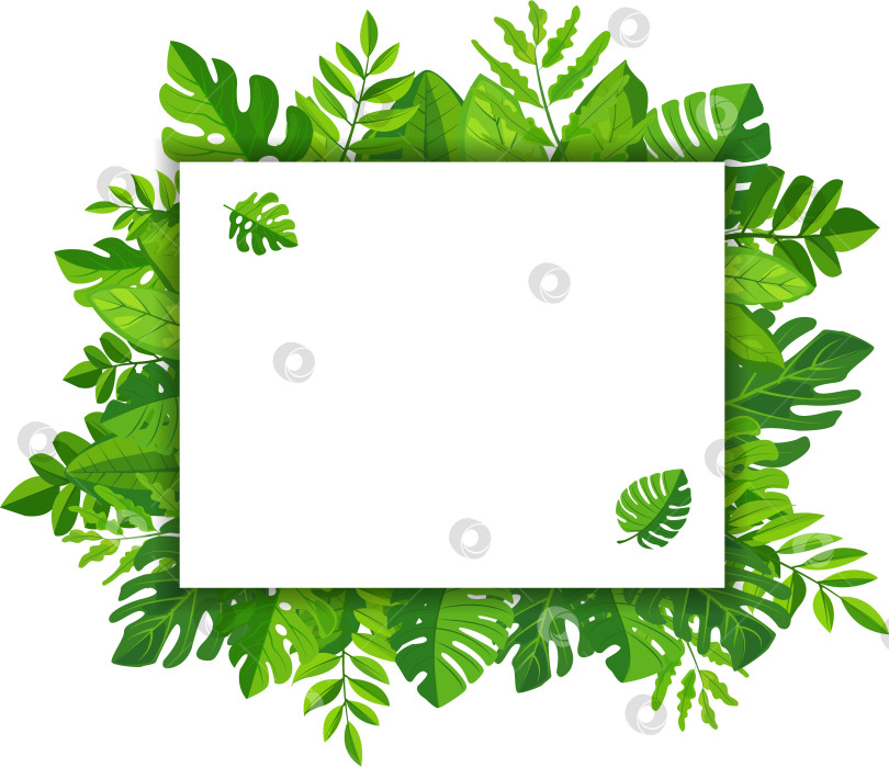 Скачать на векторе изображена рамка из ярких зеленых листьев, окружающая белое прямоугольное пространство, идеально подходящее для создания макетов или копий. пышная листва придает любому дизайну нотку природы и свежести фотосток Ozero