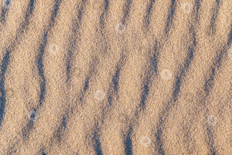 Скачать волнистый песок на пляже в солнечный день, текстура  фотосток Ozero