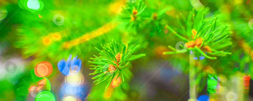 Скачать Яркая рождественская елка с украшениями и разноцветными огнями, размытый фон с мягким фокусом фотосток Ozero