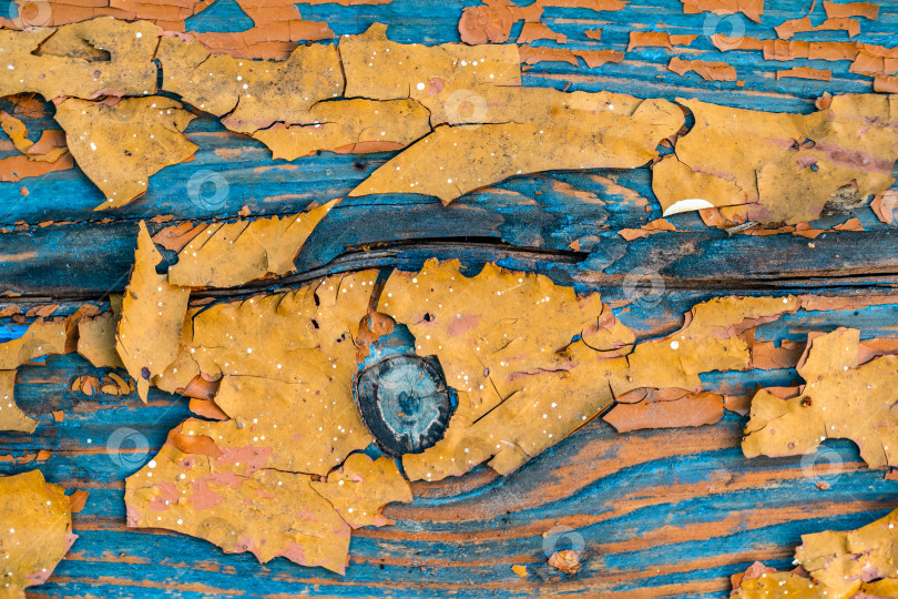 Скачать старая облупившаяся желтая краска на синей деревянной доске, архитектура фотосток Ozero