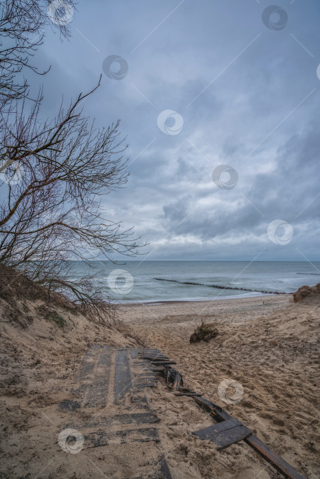 Скачать песчаный пляж на берегу моря холодным осенним вечером фотосток Ozero