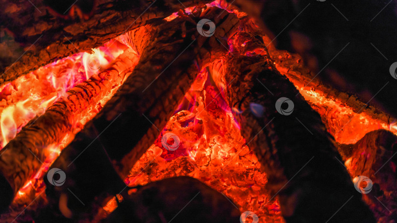 Скачать ветки и поленья горят в костре крупным планом фотосток Ozero
