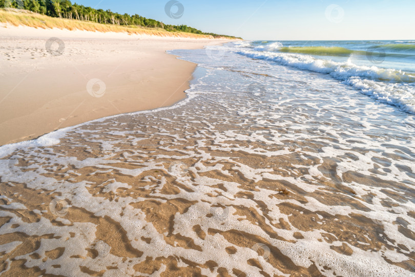 Скачать лазурные морские волны под голубым небом солнечным летним днем фотосток Ozero