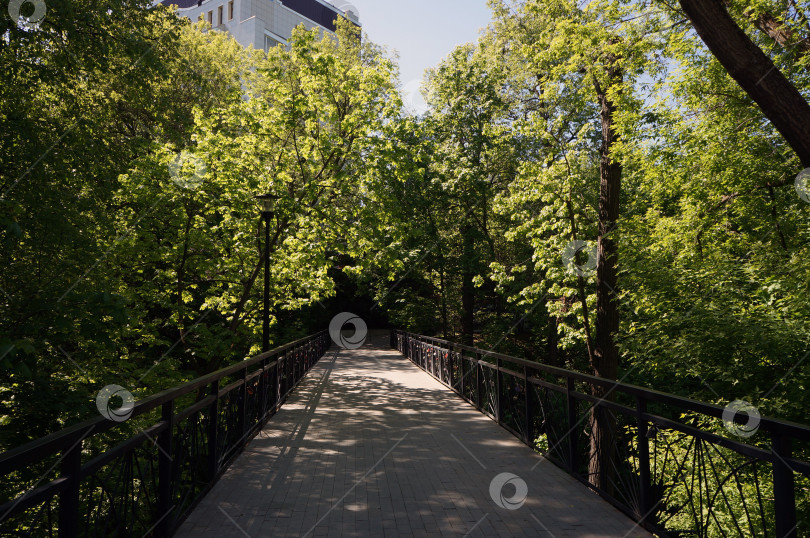 Скачать Переходной мостик в парке фотосток Ozero