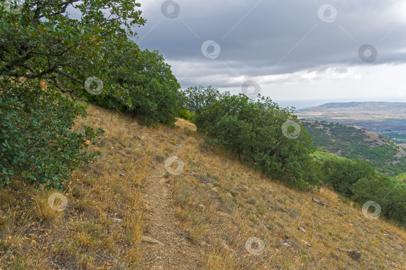 Скачать Тропинка вдоль склона хребта. Крым. фотосток Ozero