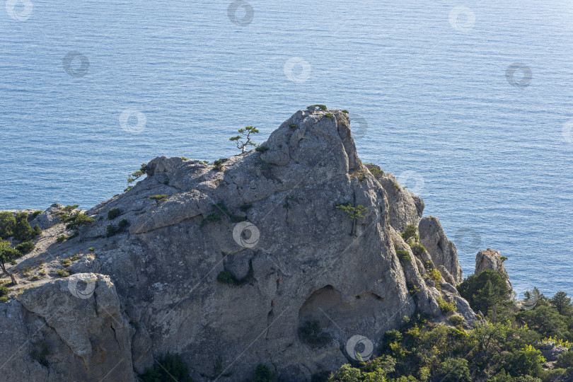 Скачать Прибрежные скалы на фоне моря. фотосток Ozero