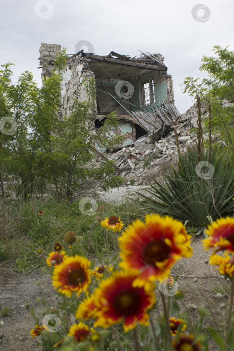 Скачать Разрушенное здание и цветы фотосток Ozero