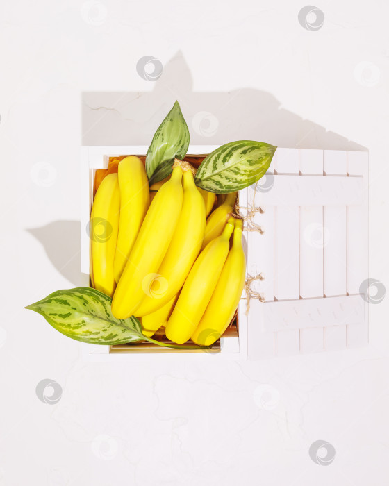 Скачать Свежие, спелые бананы с листьями в белой деревянной коробке фотосток Ozero