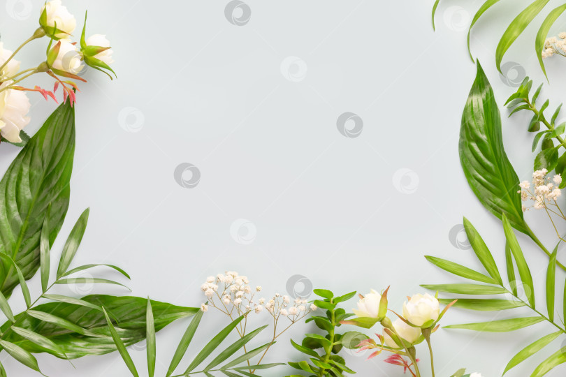 Скачать Экзотические цветы и зеленые листья на синем фоне фотосток Ozero