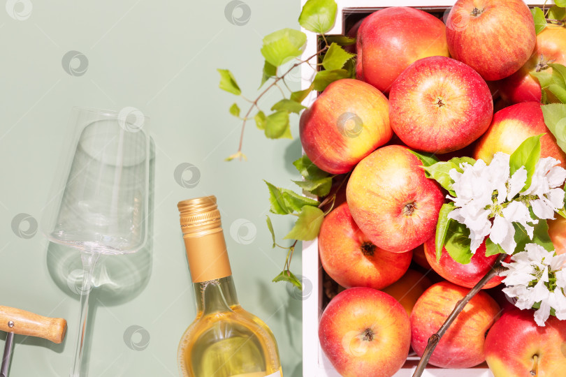 Скачать Бутылка яблочного вина с бокалом, штопором и натуральными яблоками фотосток Ozero