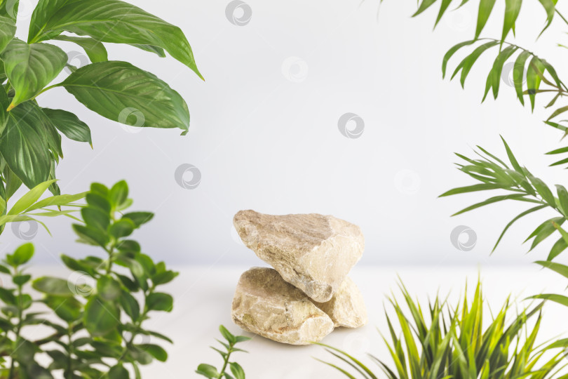 Скачать Каменный подиум на светло-сером фоне с зелеными листьями фотосток Ozero