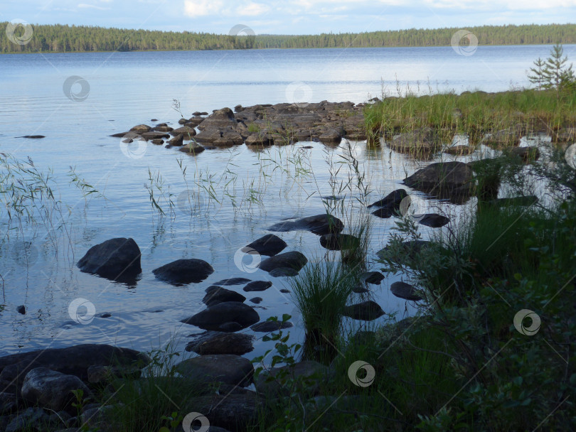 Скачать Карелия, река Пистайоки фотосток Ozero