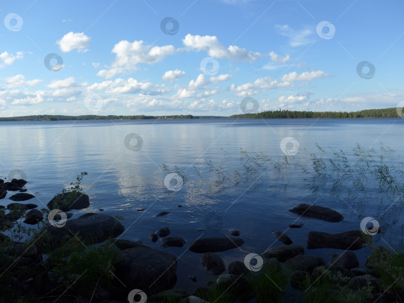 Скачать Карелия, река Пистайоки фотосток Ozero