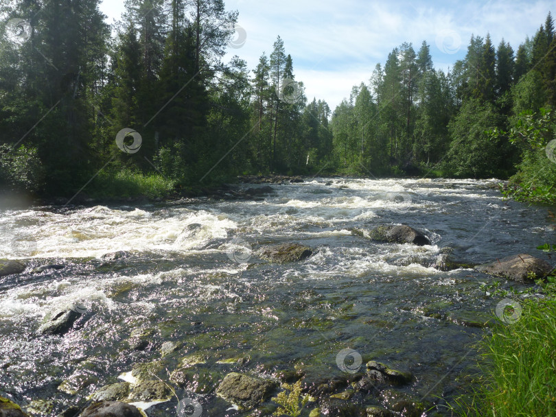 Скачать Карелия, река Пистайоки фотосток Ozero