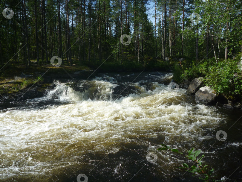 Скачать Карелия, река Пистайоки фотосток Ozero