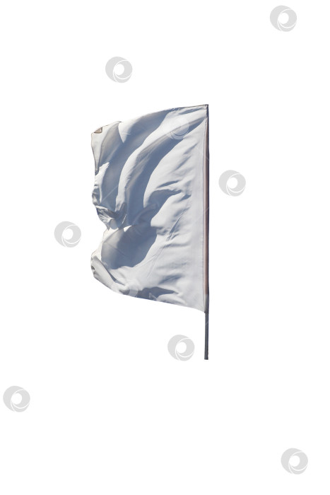 Скачать Флаг развевается на ветру, выделяясь на белом фоне. фотосток Ozero