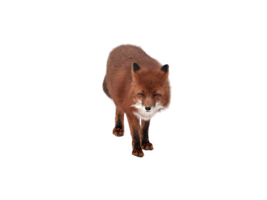 [object Object] undefined