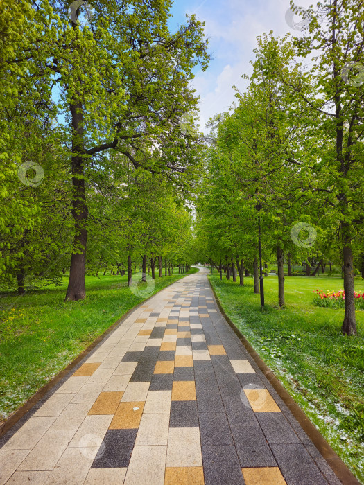 Скачать Парк будущего Ботанического сада Москвы, городская зеленая аллея весной. фотосток Ozero