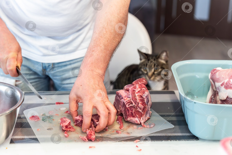 Скачать Мужчина режет ножом кусок мяса на разделочной доске, кошка смотрит на него фотосток Ozero