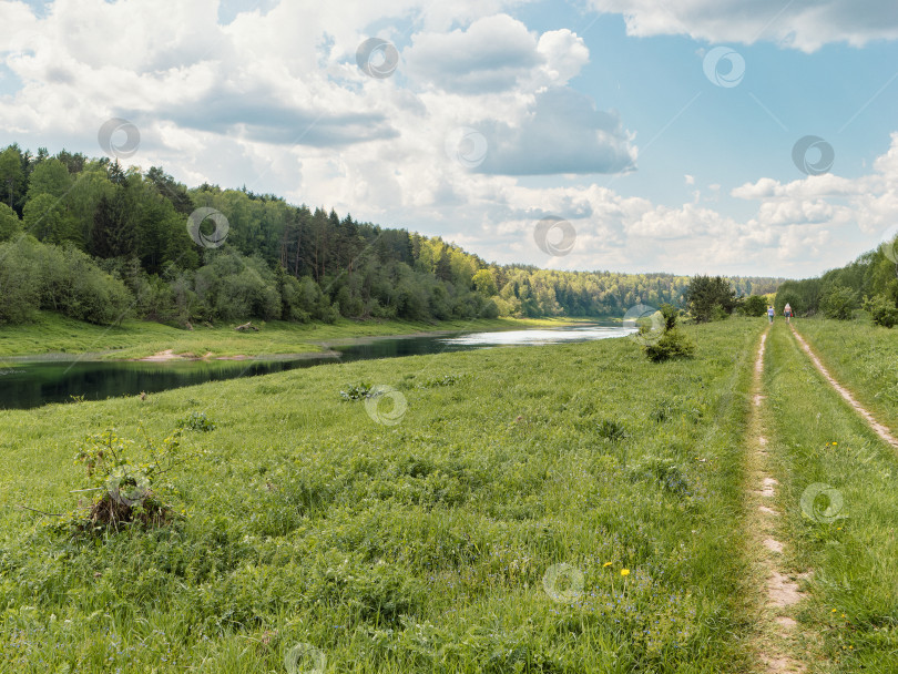 Скачать Грунтовая дорога по лугу вдоль реки Угра. Калужская область. фотосток Ozero