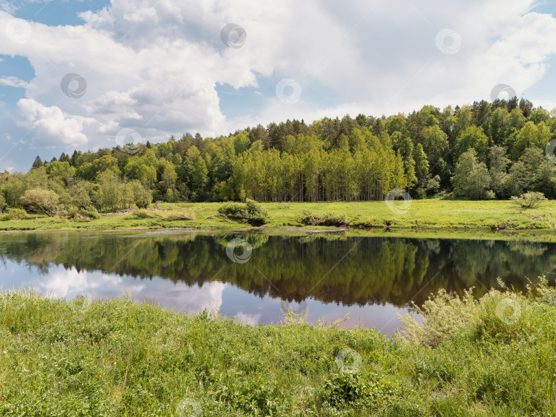 Скачать Зеленый луг и лес вдоль русла реки Угра. Калужская область. фотосток Ozero