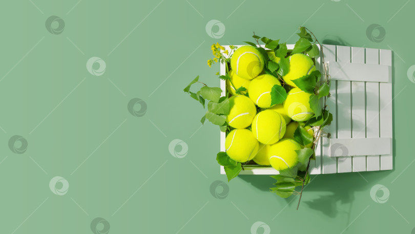 Скачать Теннисный баннер с желтыми теннисными мячами в белой деревянной коробке фотосток Ozero
