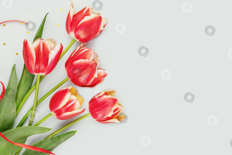 Скачать Праздничная открытка с красивым букетом красных тюльпанов фотосток Ozero