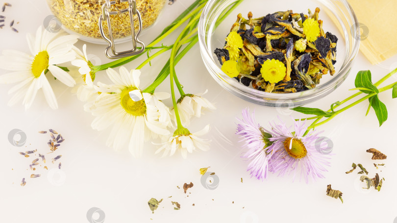 Скачать Натуральные полевые цветы, травы и чайные пакетики на белом фоне фотосток Ozero