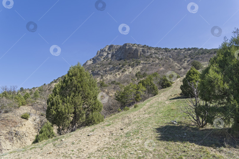 Скачать Тропинка, ведущая на вершину горы. Крым. фотосток Ozero