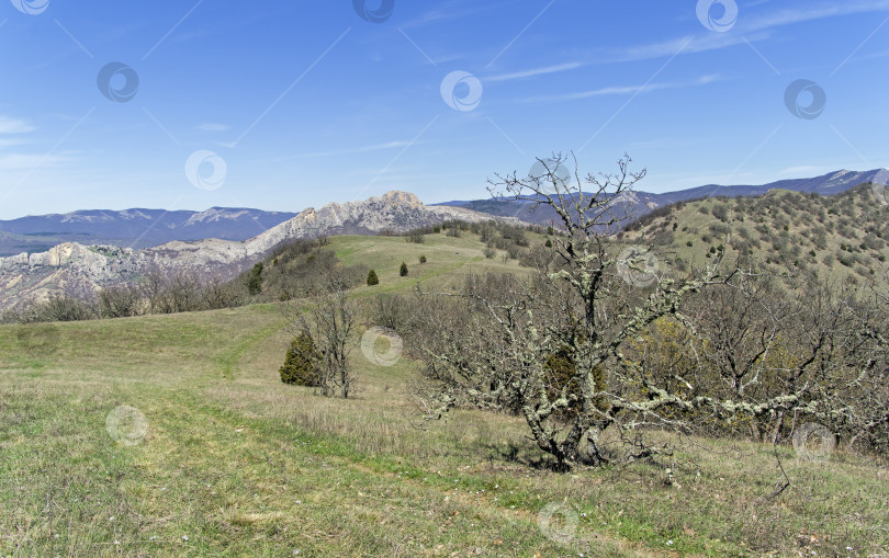 Скачать Тропинка, ведущая вдоль вершины хребта. Крым. фотосток Ozero